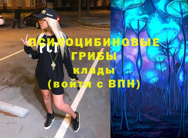 ГАЛЛЮЦИНОГЕННЫЕ ГРИБЫ Нея